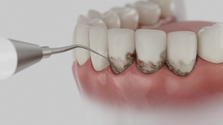 Reliable Dental contractor in Saraland, AL by Dentist Open Now